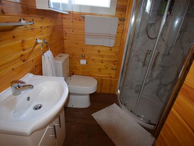 Picture 8